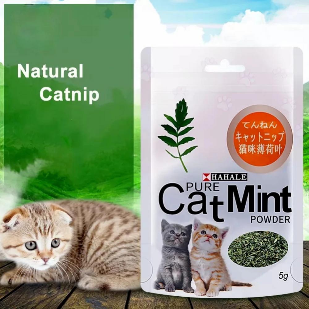 Cat Catnip Toy Natural Catnip Organic Pets Mint Grass Menthol Can Be Sprinkled On Toys For Kitten Catmint Toy Cats Pet Supplies