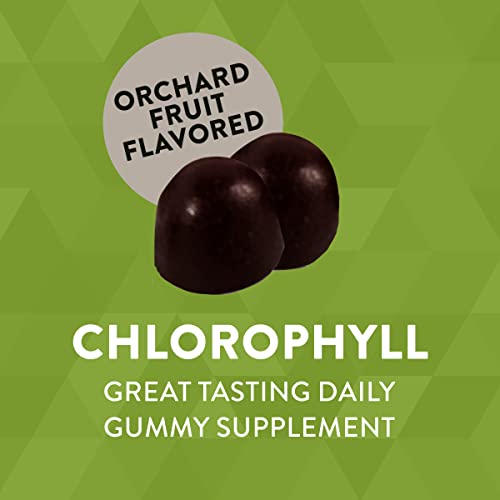 Nature’s Way Chlorophyll Gummies, Internal Deodorant*, Supports Healthy Skin and Body Detox*, Orchard Fruit Flavored, 60 Gummies